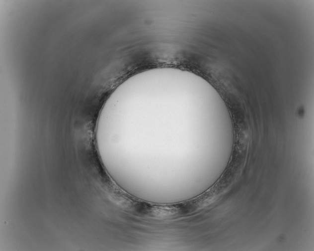 X0000089670707200706210753