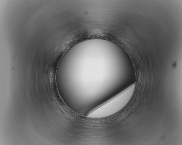 X0000089670708200706210753