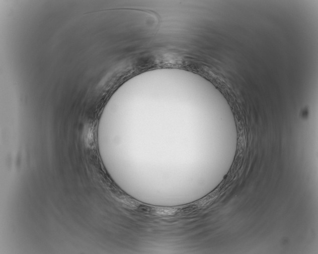 X0000089670709200706210753