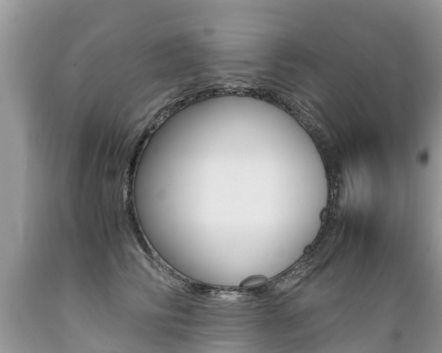 X0000089670710200706210753