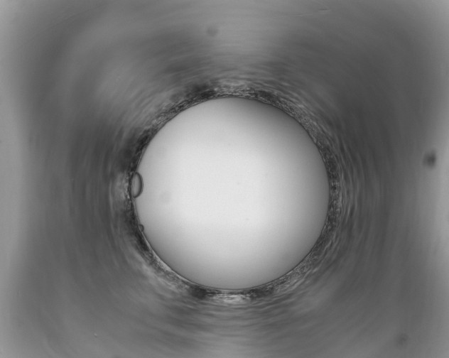 X0000089670711200706210753
