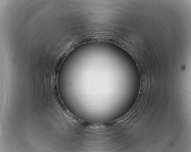X0000089670712200706210753