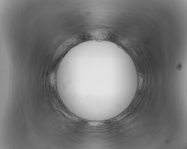 X0000089670713200706210753