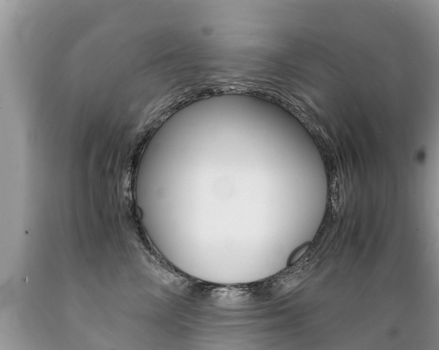 X0000089670714200706210753
