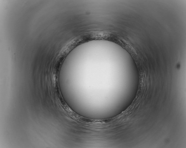X0000089670716200706210753