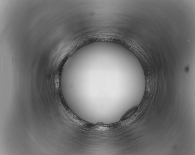 X0000089670718200706210753