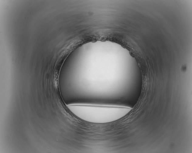 X0000089670719200706210753