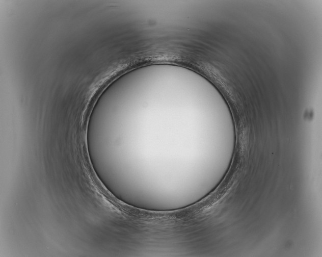 X0000089670721200706210752