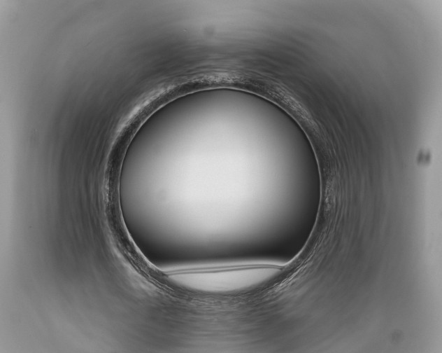 X0000089670722200706210752