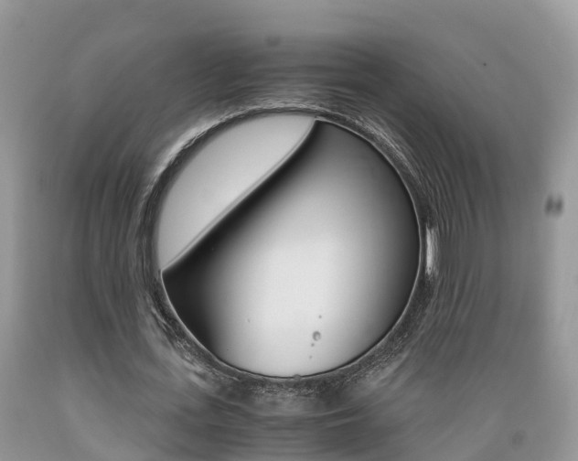 X0000089670723200706210752