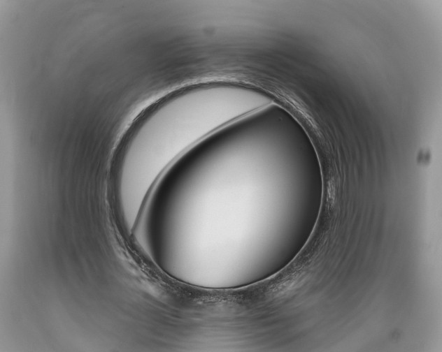 X0000089670724200706210752