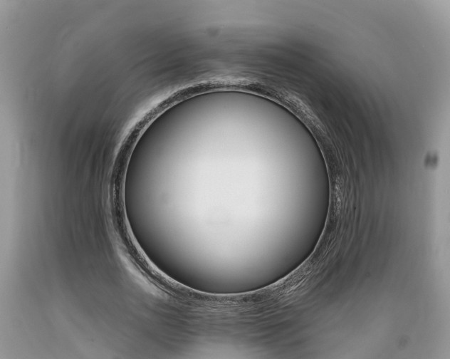 X0000089670726200706210752