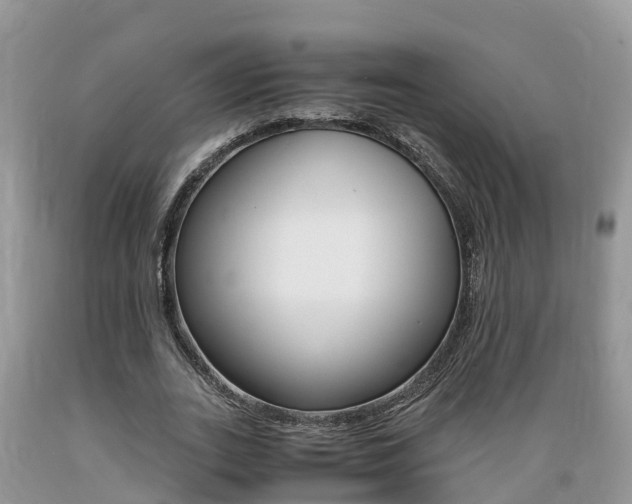X0000089670727200706210752