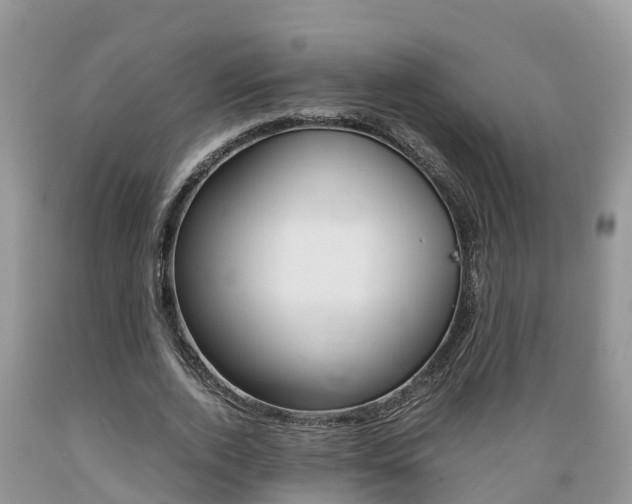 X0000089670728200706210752