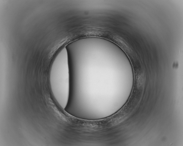 X0000089670729200706210752