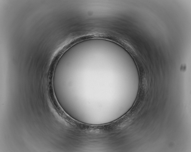 X0000089670730200706210752