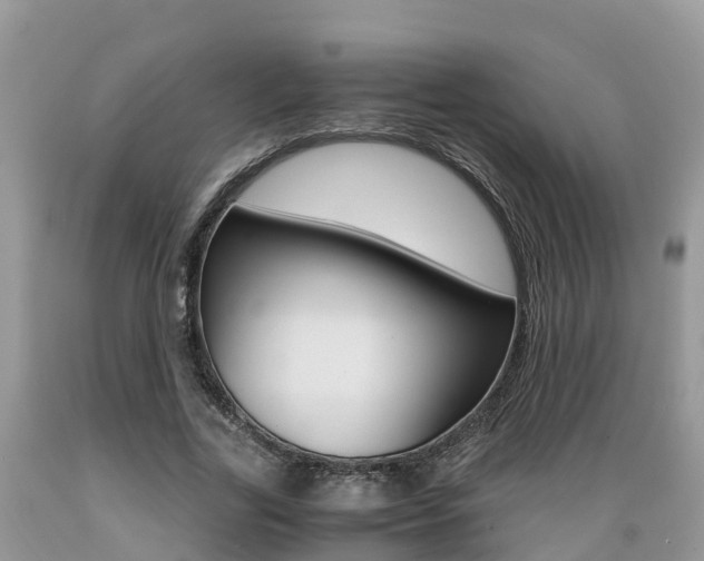 X0000089670731200706210753