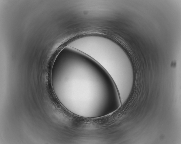 X0000089670732200706210753