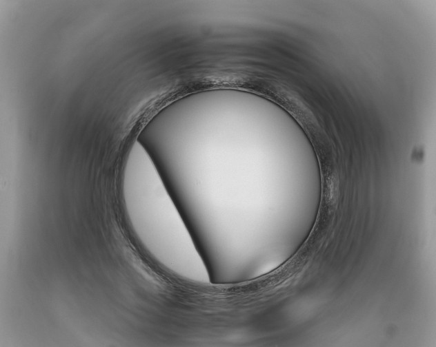 X0000089670733200706210753