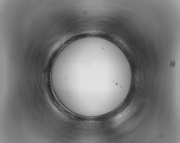 X0000089670734200706210753