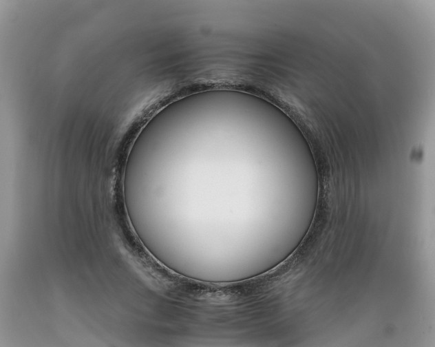 X0000089670735200706210753
