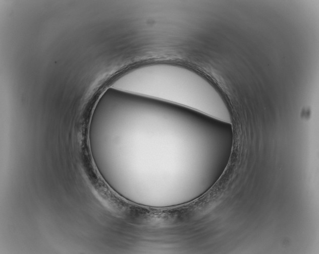 X0000089670736200706210753