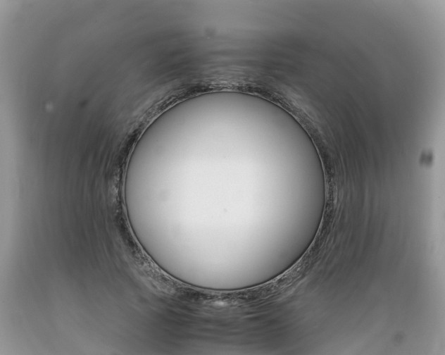 X0000089670737200706210753