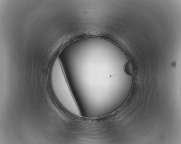 X0000089670738200706210753