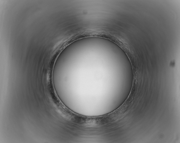 X0000089670740200706210753