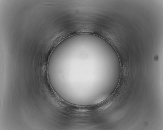 X0000089670741200706210753