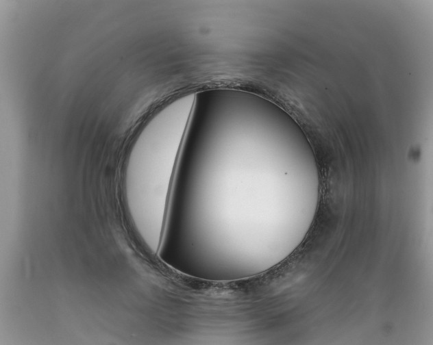 X0000089670742200706210753