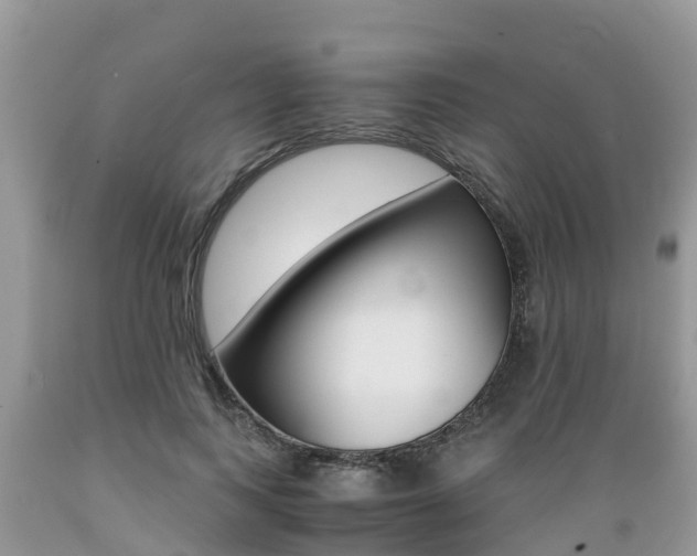 X0000089670743200706210753
