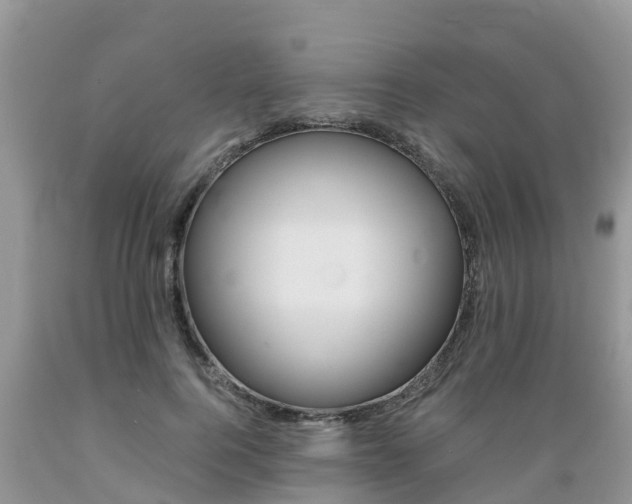 X0000089670744200706210753