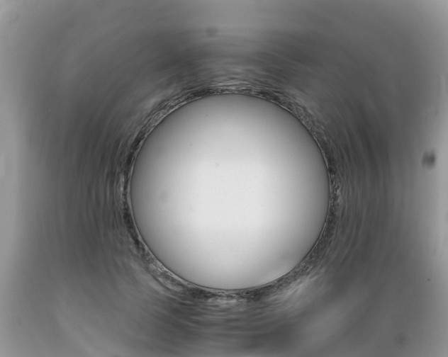 X0000089670745200706210753