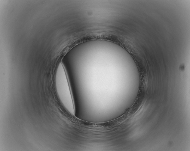 X0000089670746200706210753