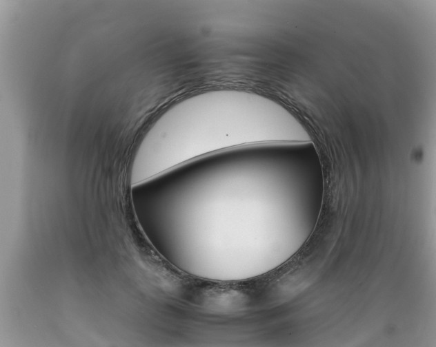 X0000089670747200706210753