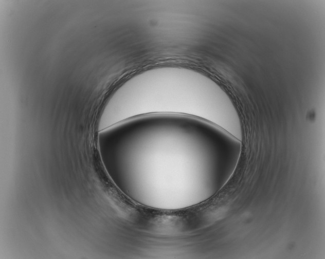 X0000089670748200706210753