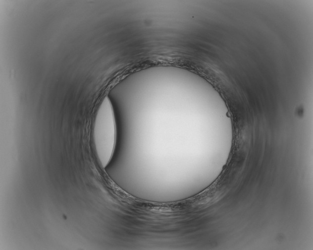 X0000089670749200706210753