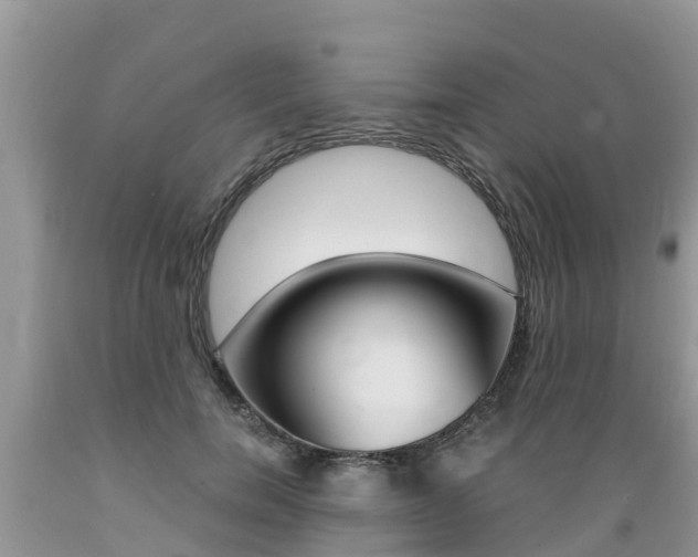 X0000089670750200706210753