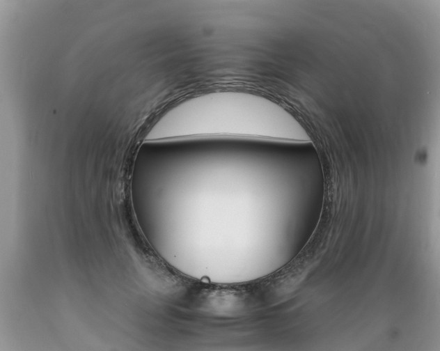 X0000089670751200706210753