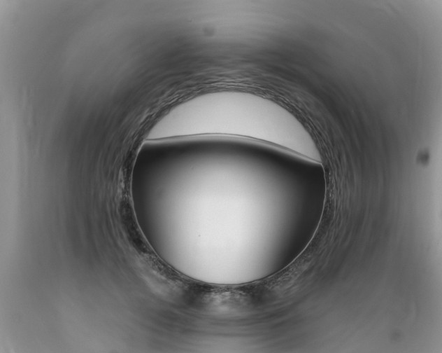 X0000089670752200706210753