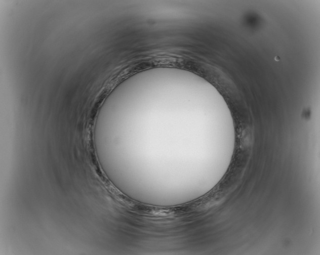 X0000089670753200706210753