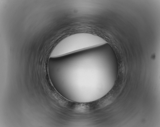 X0000089670754200706210753