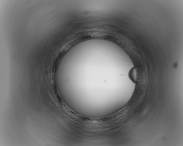 X0000089670755200706210753