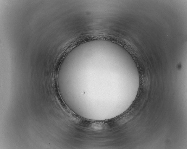 X0000089670757200706210753