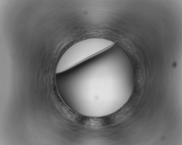 X0000089670758200706210753