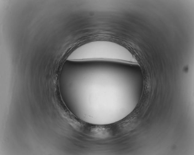 X0000089670759200706210753