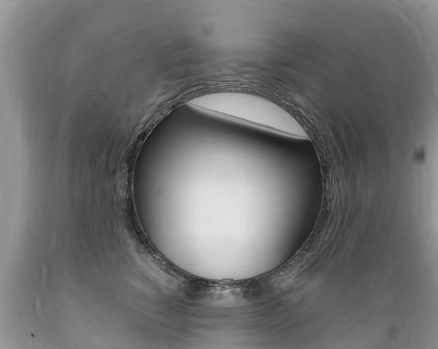 X0000089670760200706210753