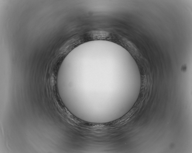 X0000089670761200706210753