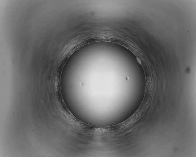 X0000089670762200706210753